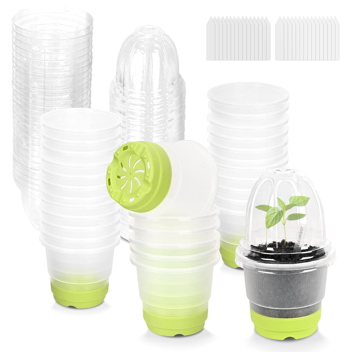 Sckee Clear Nursery Pot shows soil moisture and root health at a glance.