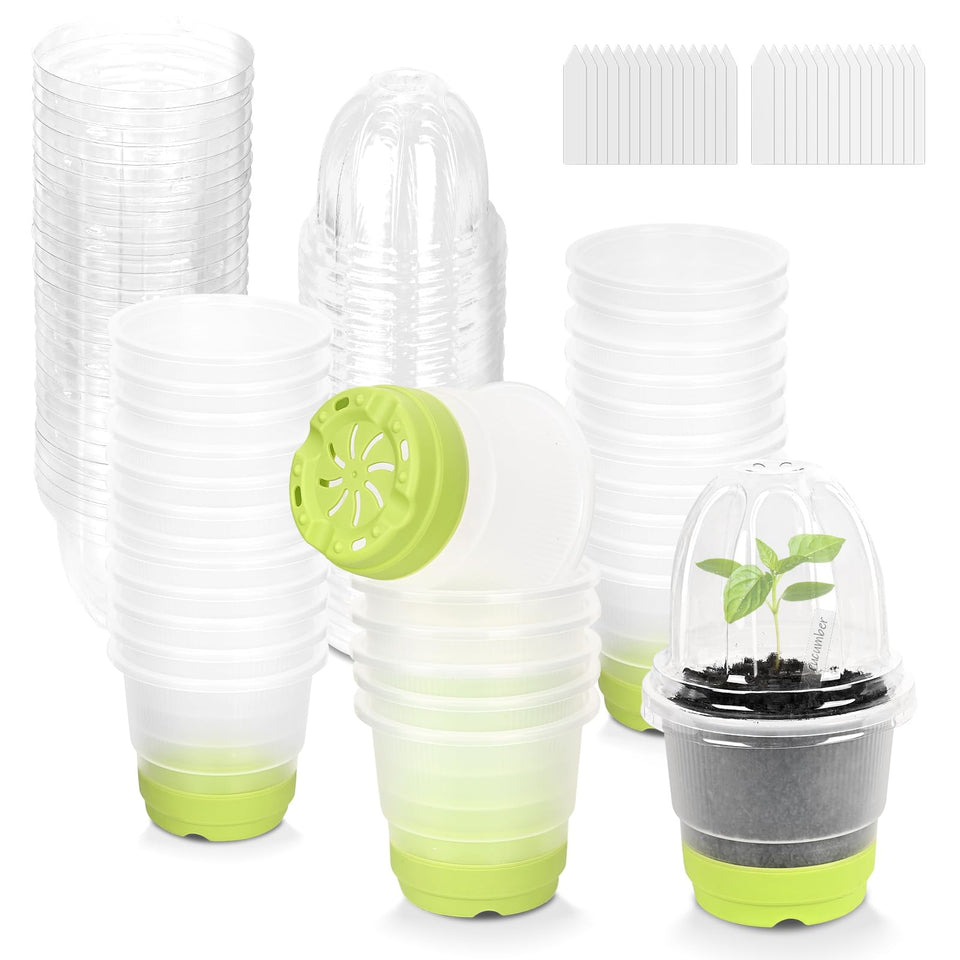 Sckee Clear Nursery Pot shows soil moisture and root health at a glance.
