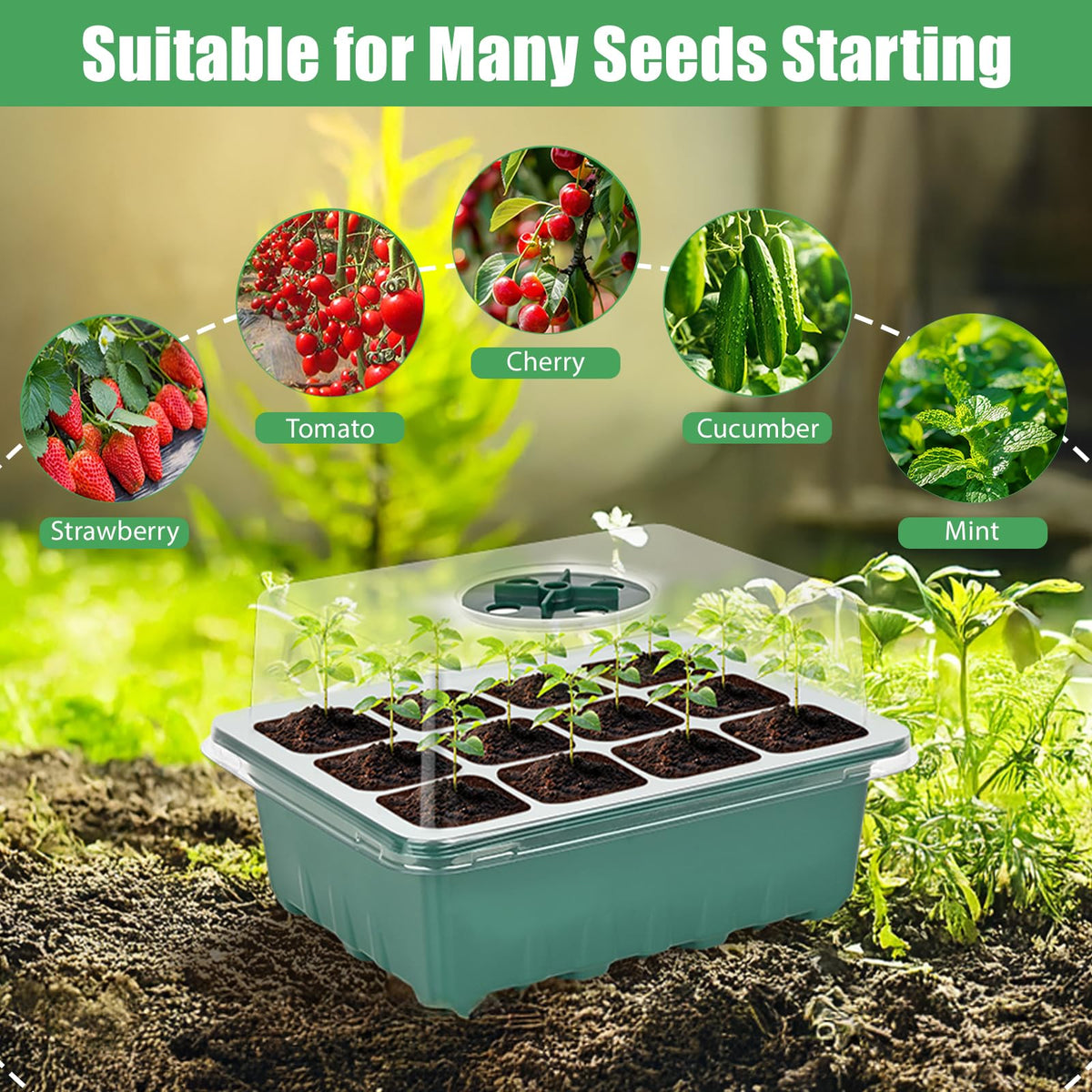 Sckee seed starting kit labels help track varieties efficiently.