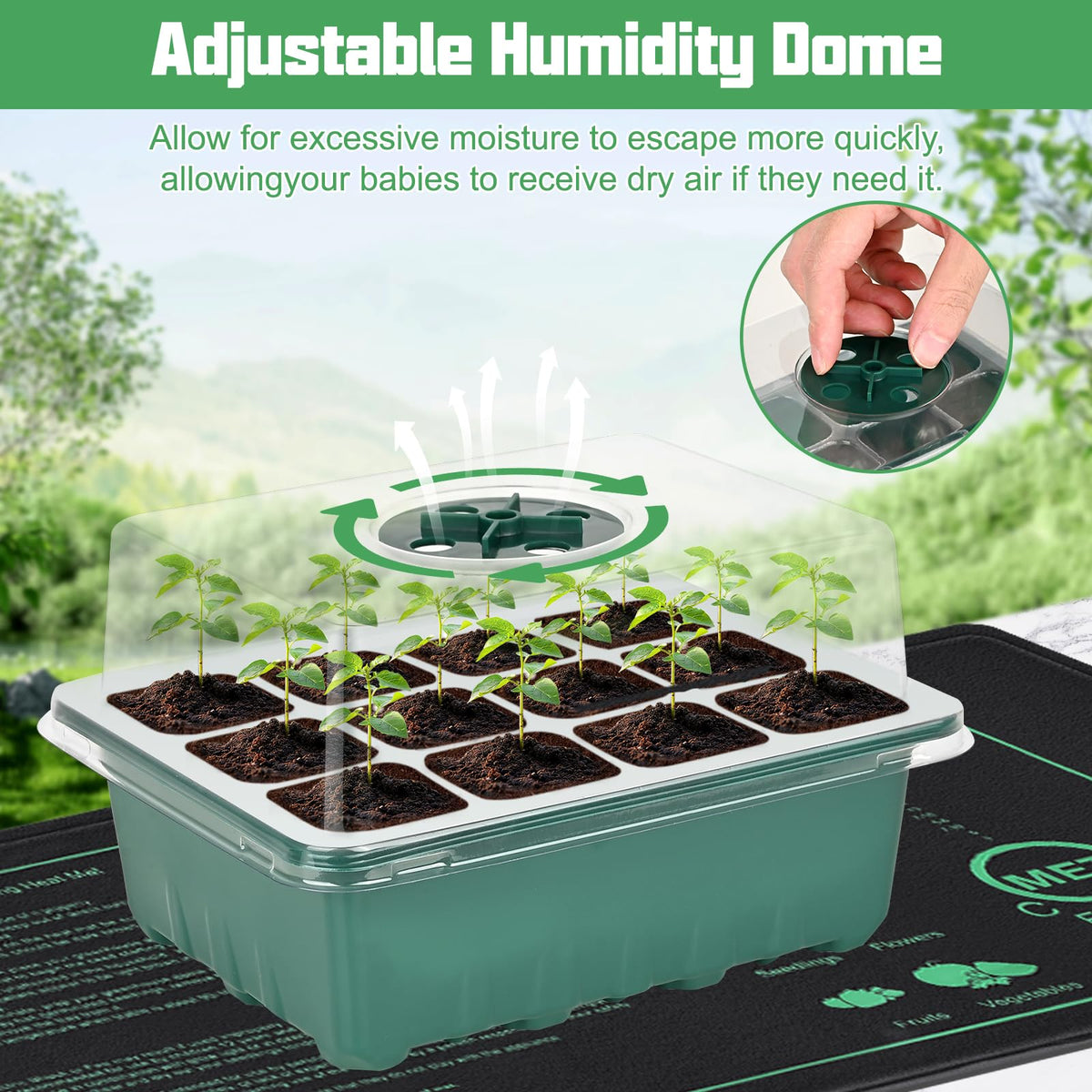 Sckee humidity dome helps maintain moisture for healthier starts.