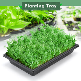 Sckee microgreens growing trays are durable for repeated reuse.