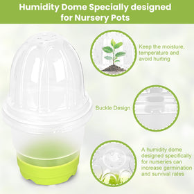Sckee pots with drainage holes promote root respiration and drainage.