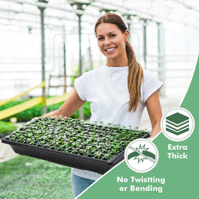 Sckee seed-starting tray no-holes design streamlines moisture management.