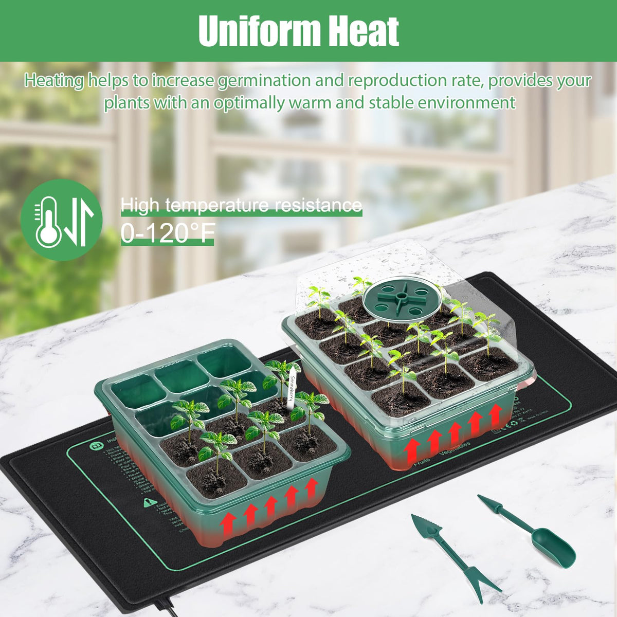 Sckee seedling heat mat provides stable warmth for thriving seedlings.
