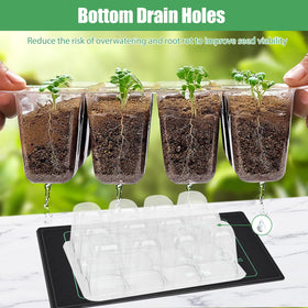 Sckee six-cell seed tray with drain holes promotes drainage.