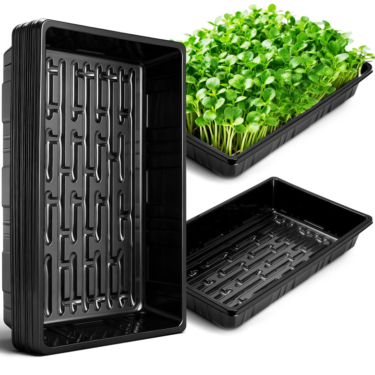 Sckee Upgraded 10-pack plant growing trays with no holes to prevent leakage and reuse.