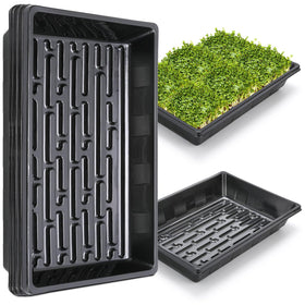 Sckee seed germination trays keep seeds organized for indoor starting.