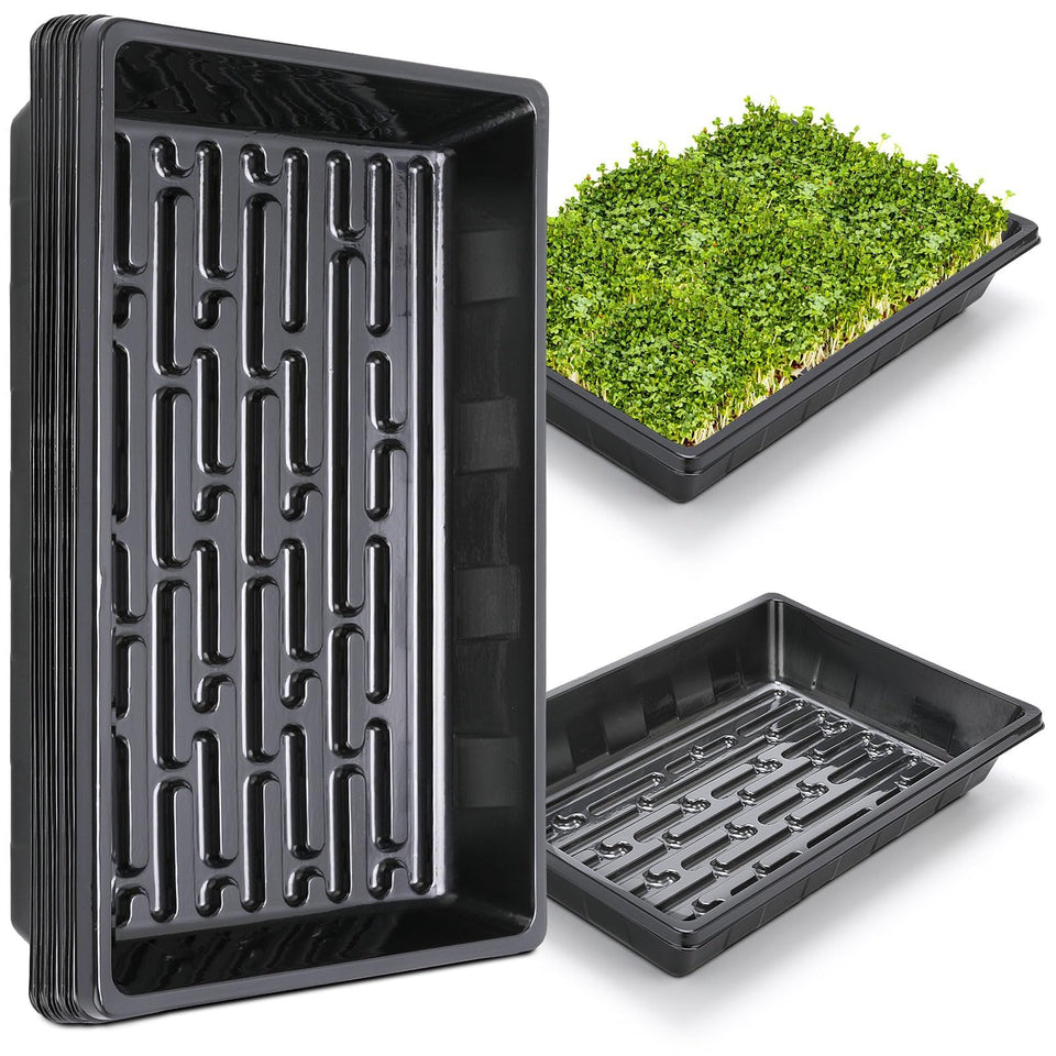 Sckee seed germination trays keep seeds organized for indoor starting.