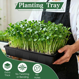 Sckee Upgraded seed starting tray side view for compact indoor gardening.