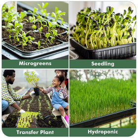 Sckee easy setup helps beginners manage seeds and uniform trays.