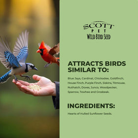 Energy-rich Scott Pet sunflower hearts provide protein for wild birds.