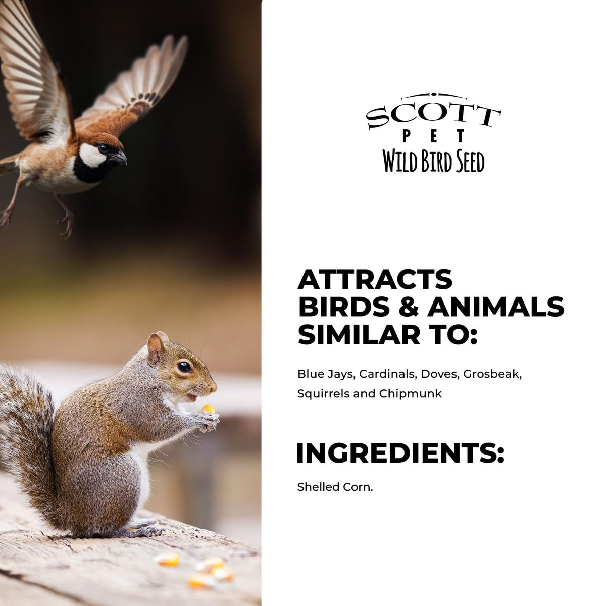 Scott Pet shelled corn USA-made, supporting quality in backyard feeding.