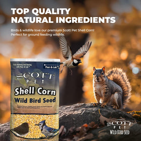 Scott Pet shelled corn on the ground lures blue jays and doves.