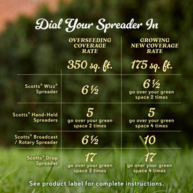 Scotts Buffalograss lawn tends to stay green with natural drought tolerance