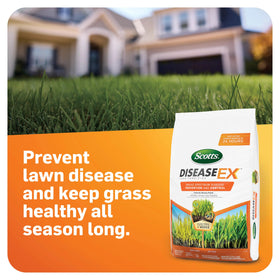 Scotts DiseaseEx 10 lb bag for protecting up to 5,000 sq ft of lawn