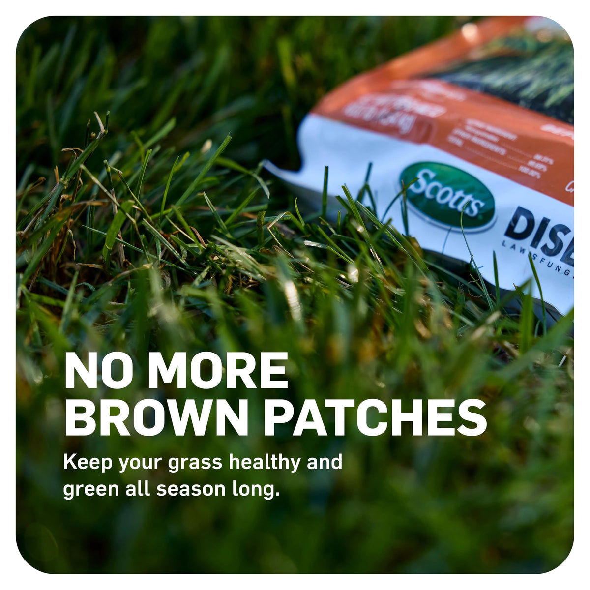 Scotts DiseaseEx application with spreader demonstrates easy, preventative lawn disease protection