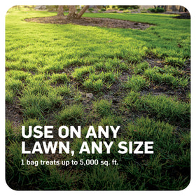 Scotts DiseaseEx spreader-ready packaging and instructions support proper use