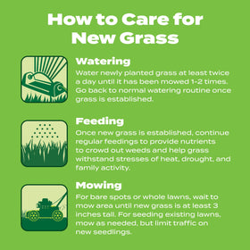 Scotts drought-tolerant grass texture after treatment looks vibrant and resilient.