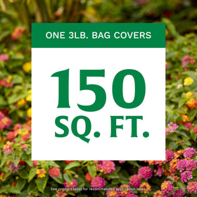 Sprinkling Scotts food around a plant nourishes roots for steady growth.