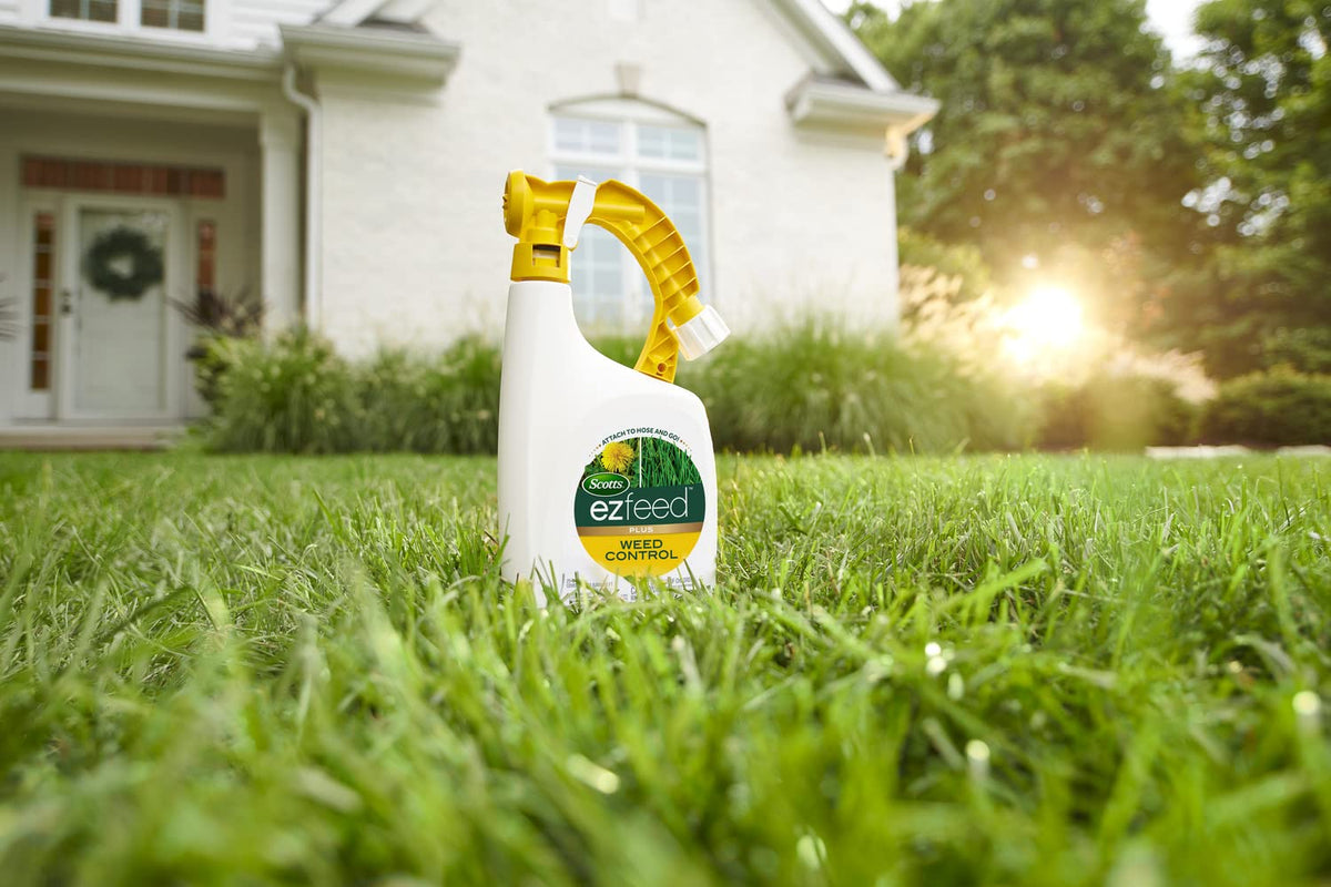 Scotts EZ Feed Plus Weed Control applied on a bluegrass lawn for broadleaf weed control.