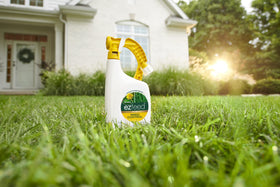 Scotts EZ Feed Plus Weed Control applied on a bluegrass lawn for broadleaf weed control.