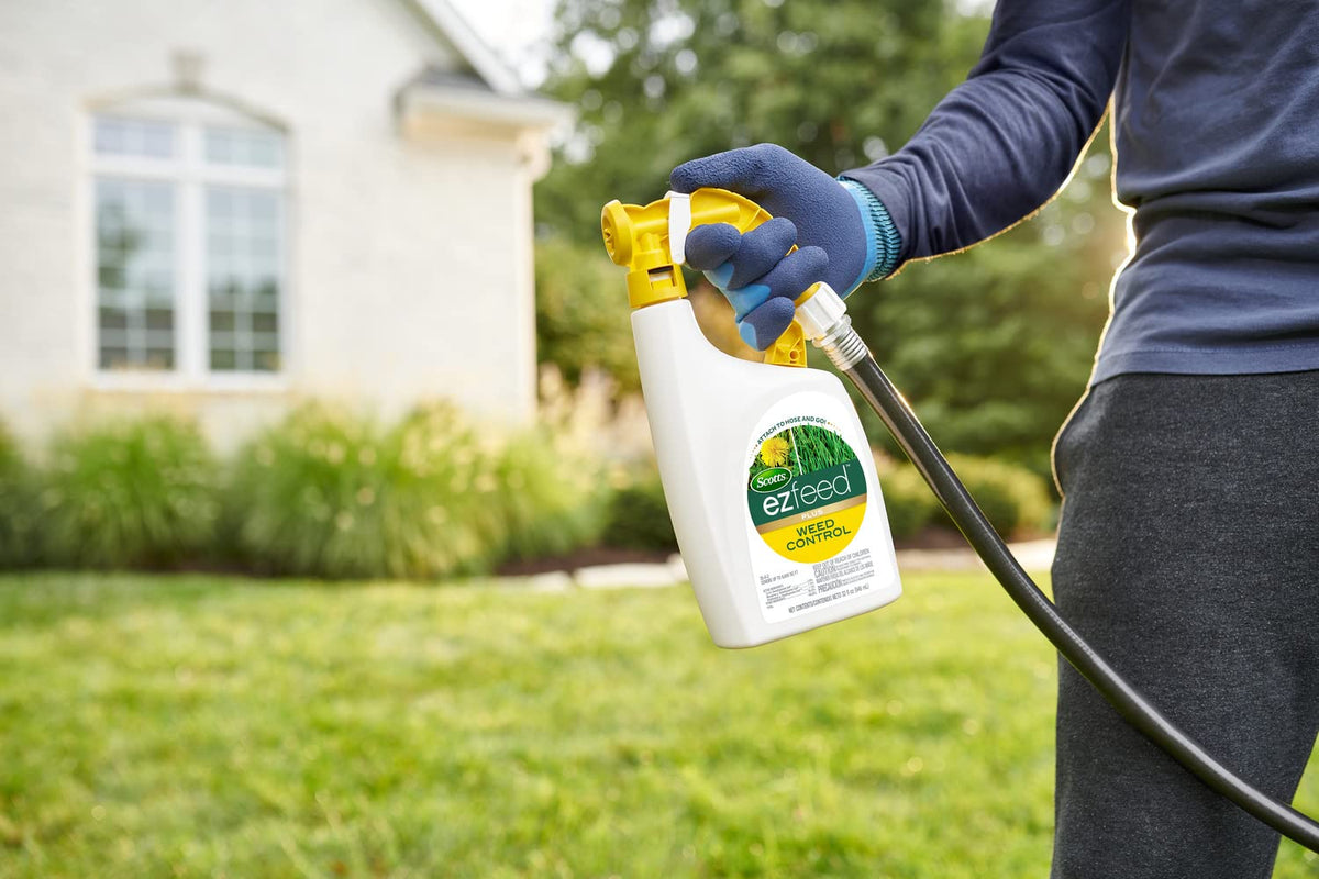 Scotts EZ Feed Plus Weed Control being applied across a warm-season lawn.