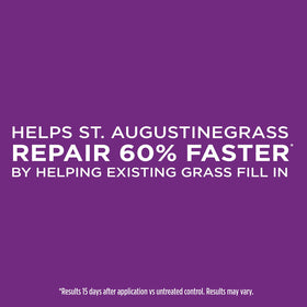 Controlled-release nutrients feed St. Augustinegrass over time during repair.