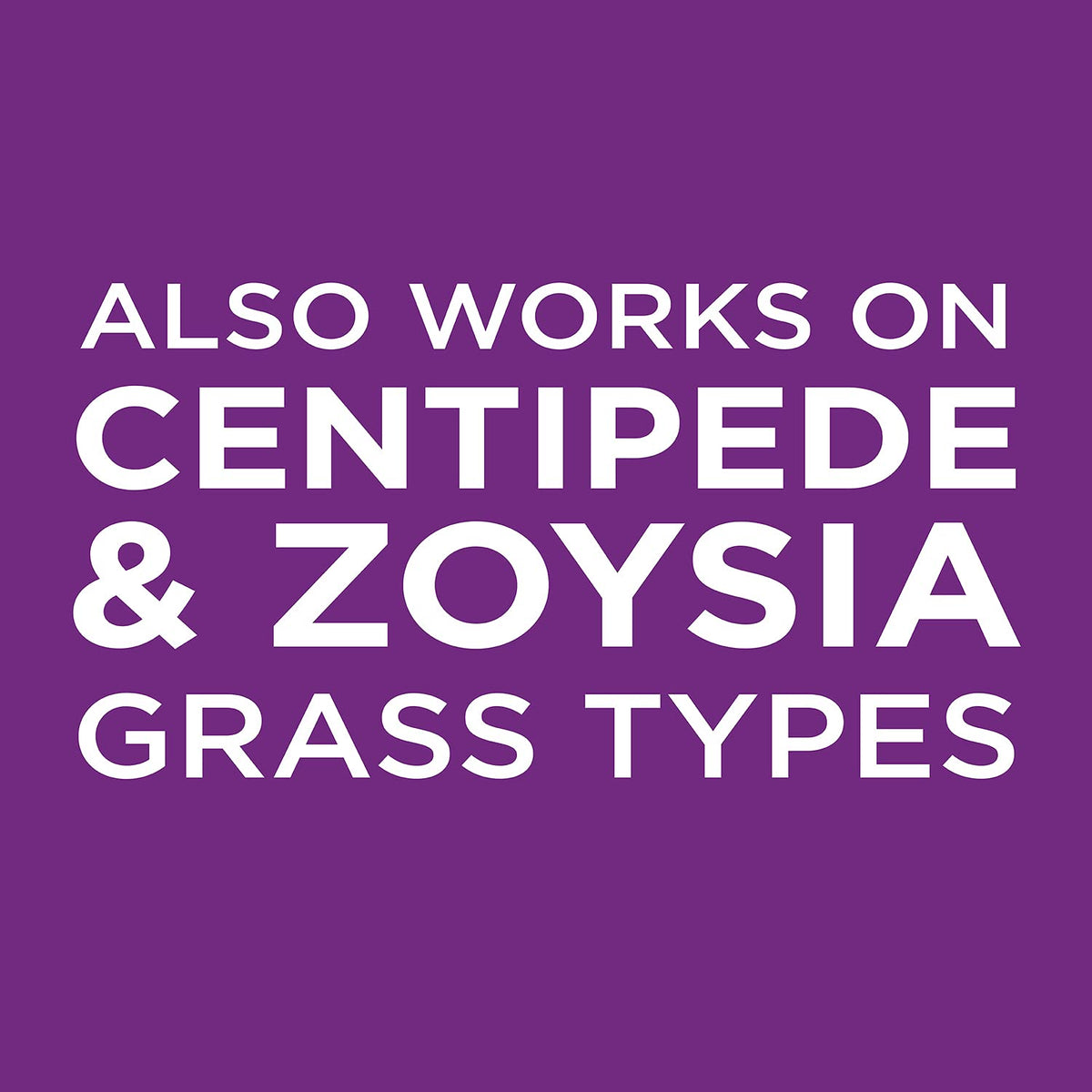 Potential faster patch repair for St. Augustine lawns with EZ Patch.