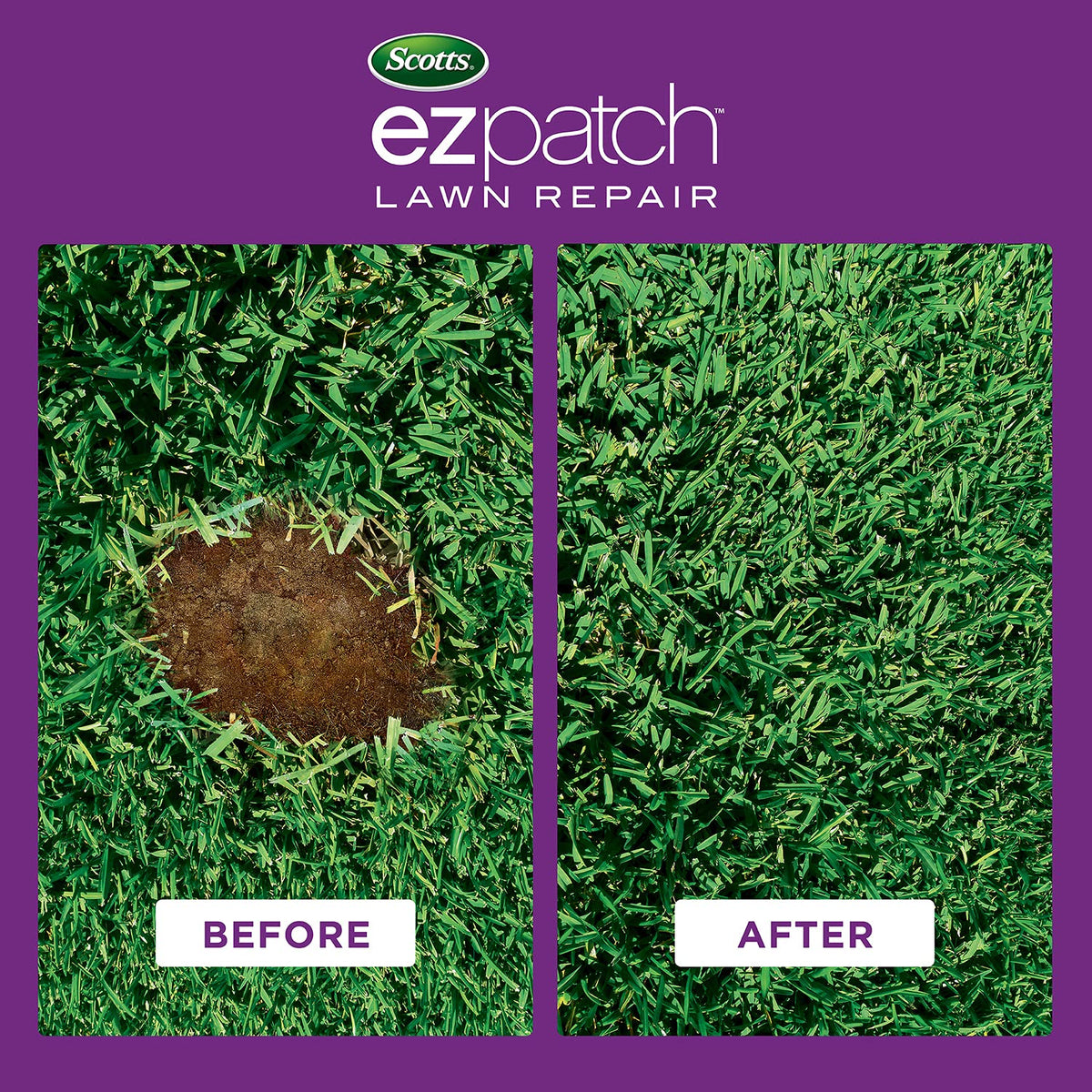 Fertilizer supports establishment of sod and plugs in patches.