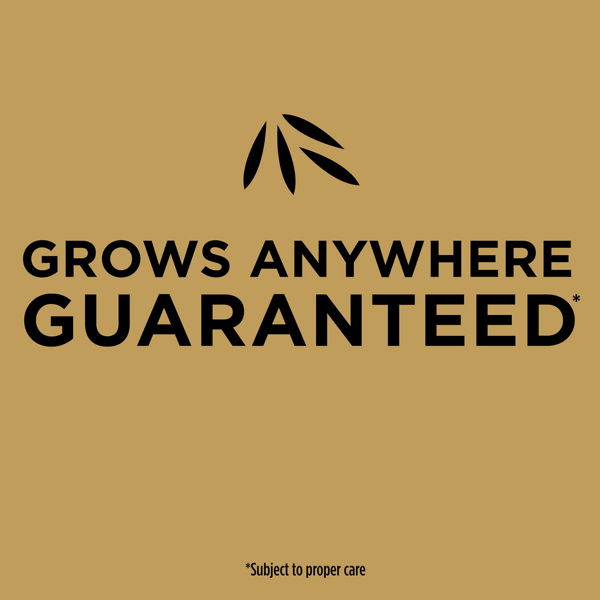 Scotts EZ Seed application steps shown for easy DIY lawn repair.
