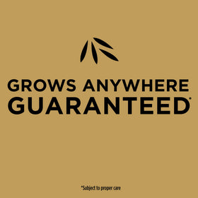 Scotts EZ Seed application steps shown for easy DIY lawn repair.