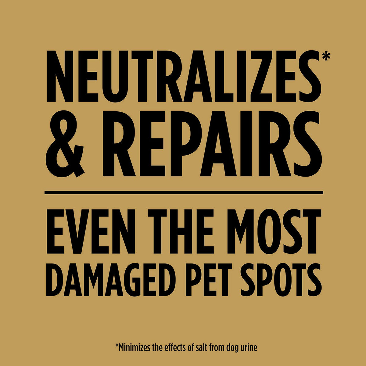 Scotts EZ Seed Dog Spot Repair salt neutralizer lowers salt impact on turf