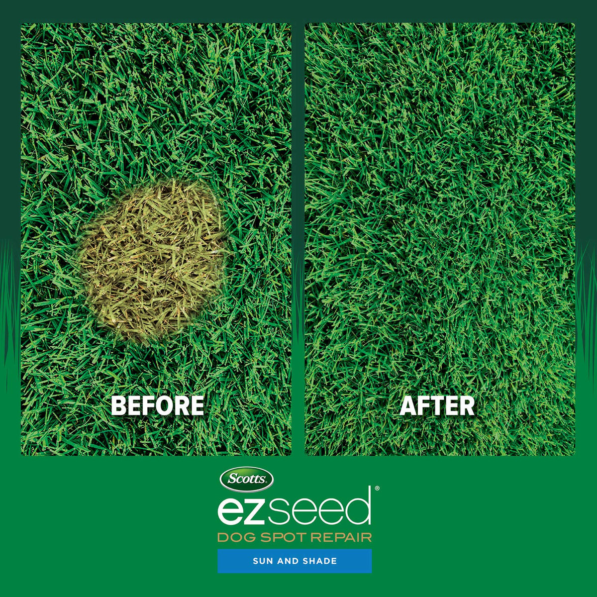 Scotts EZ Seed Dog Spot Repair soil amendment supports urine-affected area recovery