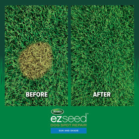Scotts EZ Seed Dog Spot Repair soil amendment supports urine-affected area recovery