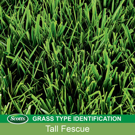 Scotts EZ Seed Dog Spot Repair turns bare patches into greener turf.