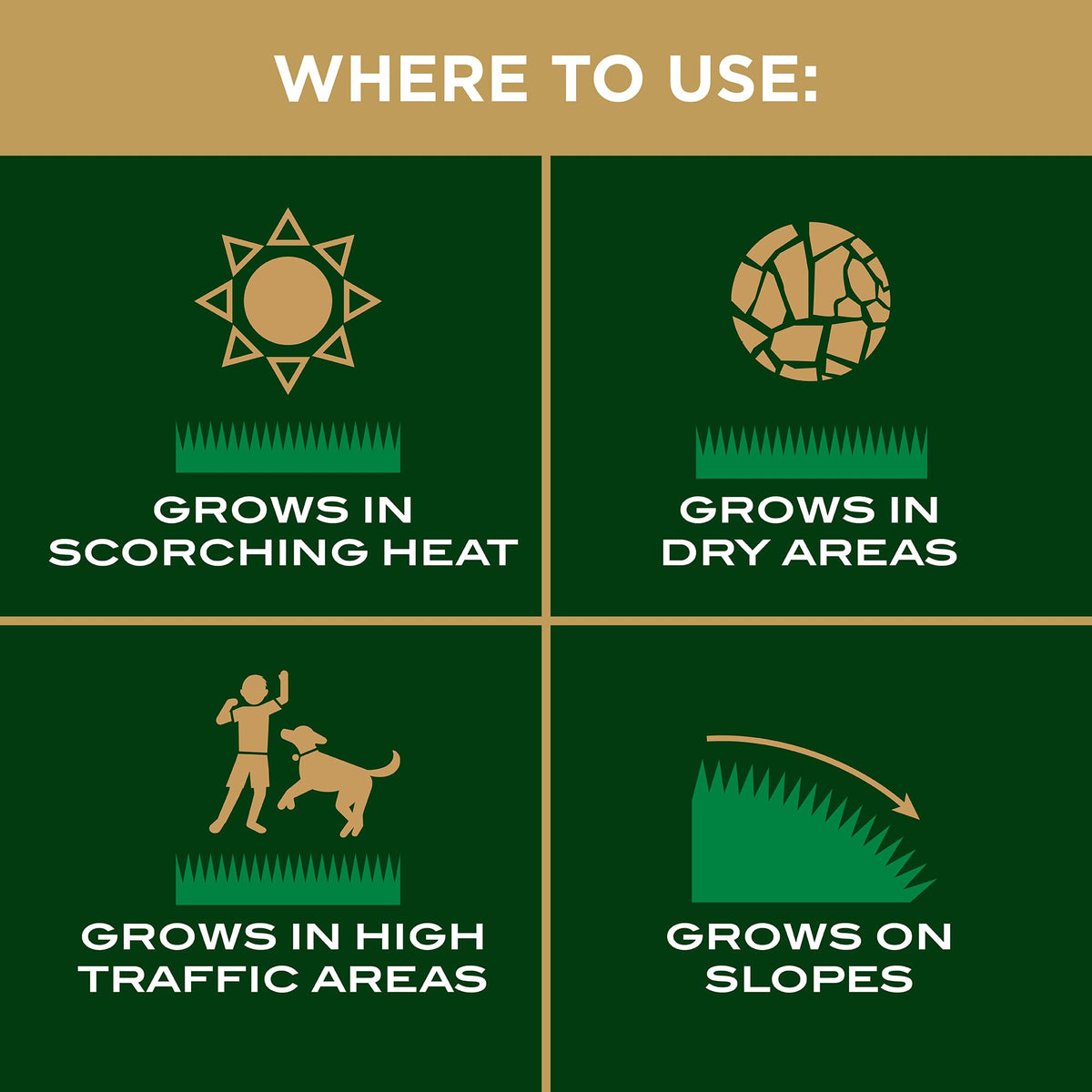 Scotts EZ Seed blended seed and fertilizer supports early growth.