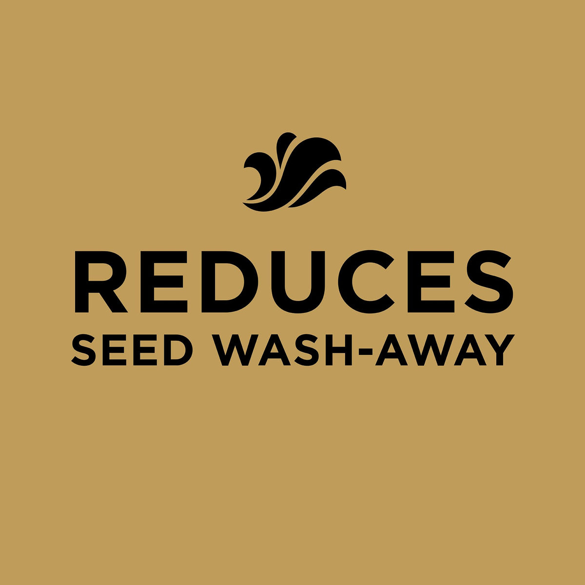 Scotts EZ Seed on sunny lawn demonstrates drought-tolerant patch repair potential.