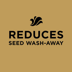 Scotts EZ Seed on sunny lawn demonstrates drought-tolerant patch repair potential.
