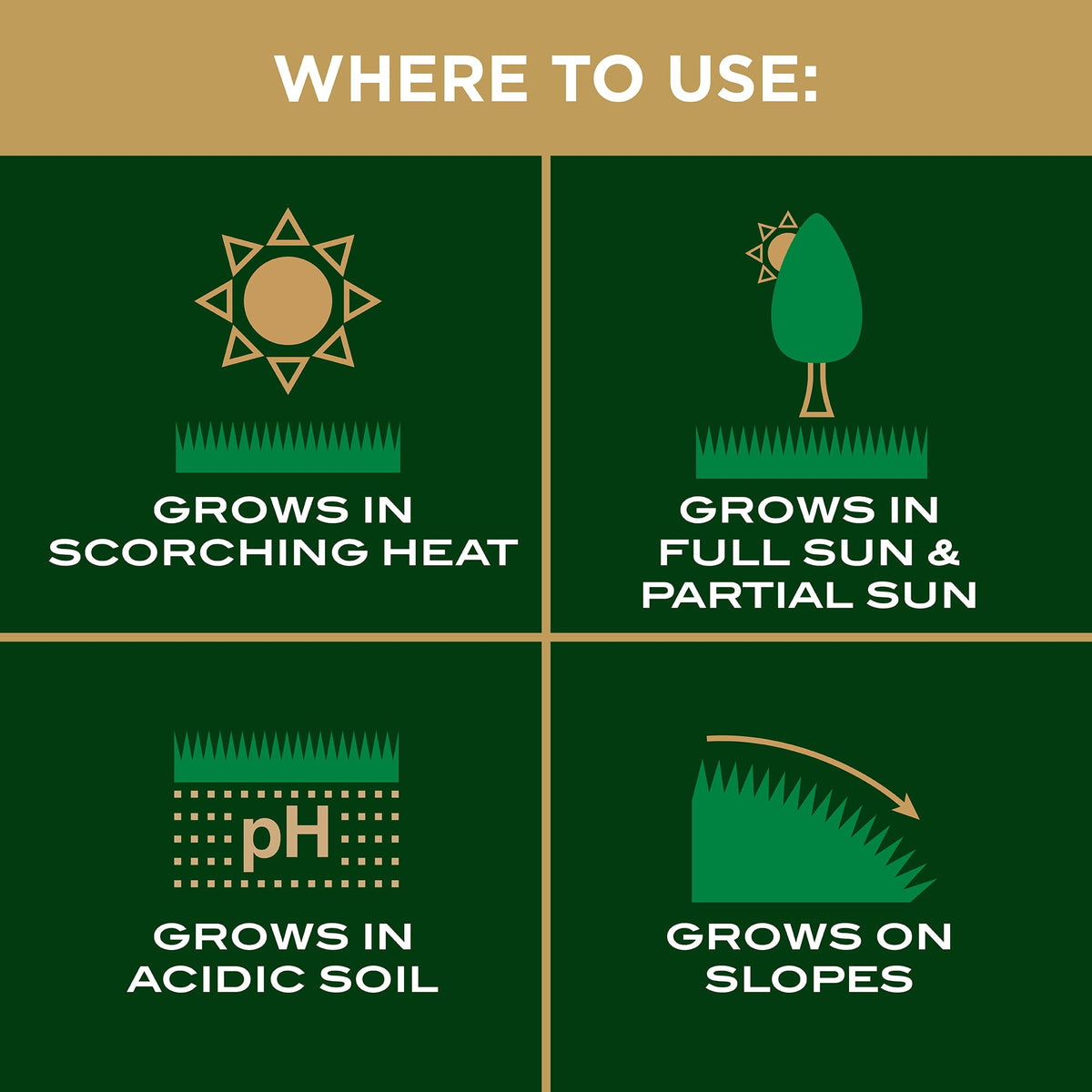Backyard lawn patch shown in sun using Scotts EZ Seed Patch & Repair.