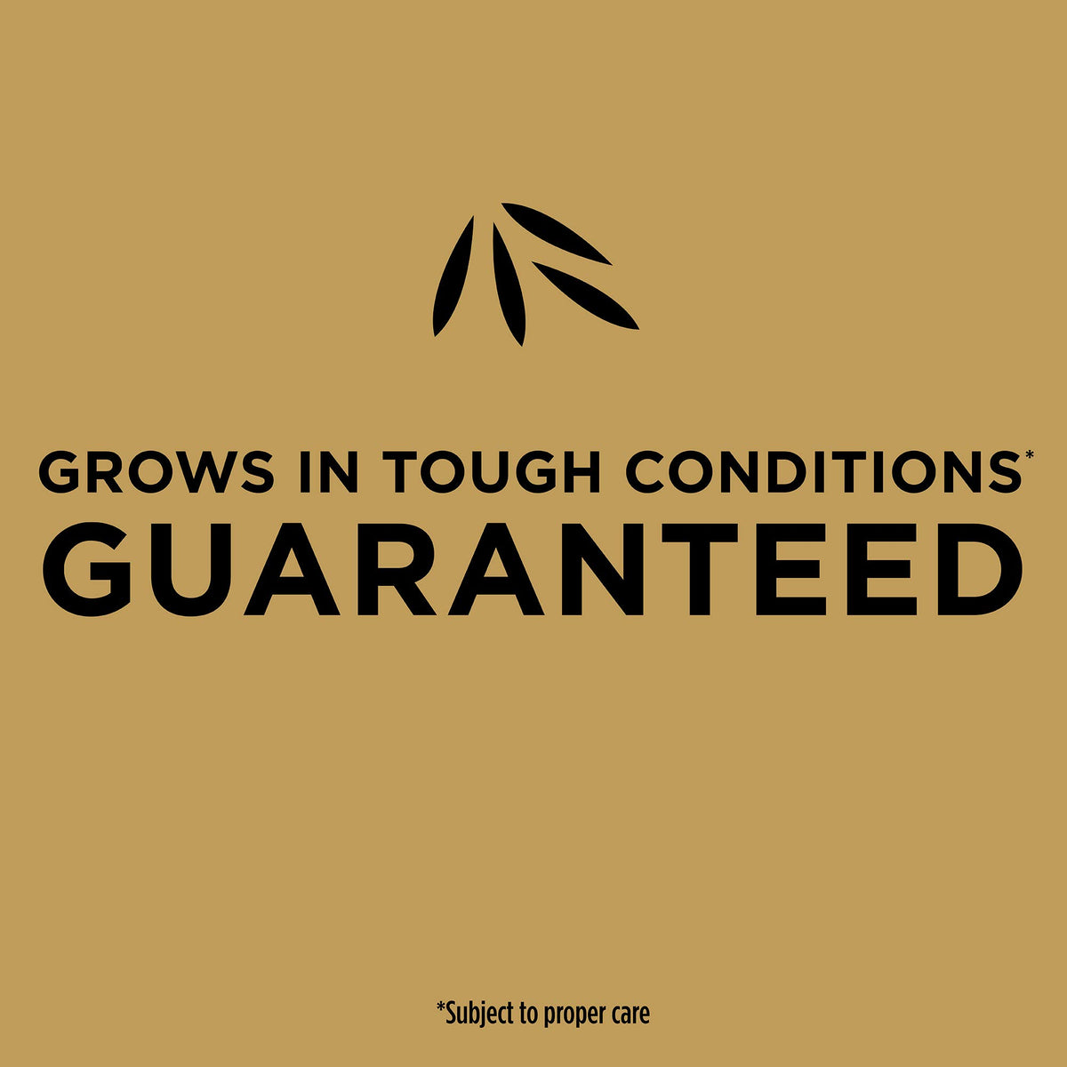 Scotts EZ Seed Patch & Repair protectant shields young seedlings.