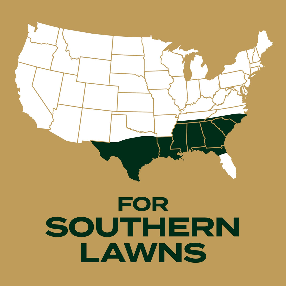 Scotts EZ Seed Patch & Repair seed mix promotes even germination in sun.