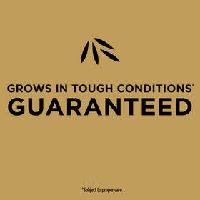 Scotts EZ Seed Patch & Repair spring or fall planting suitable for seasonal care