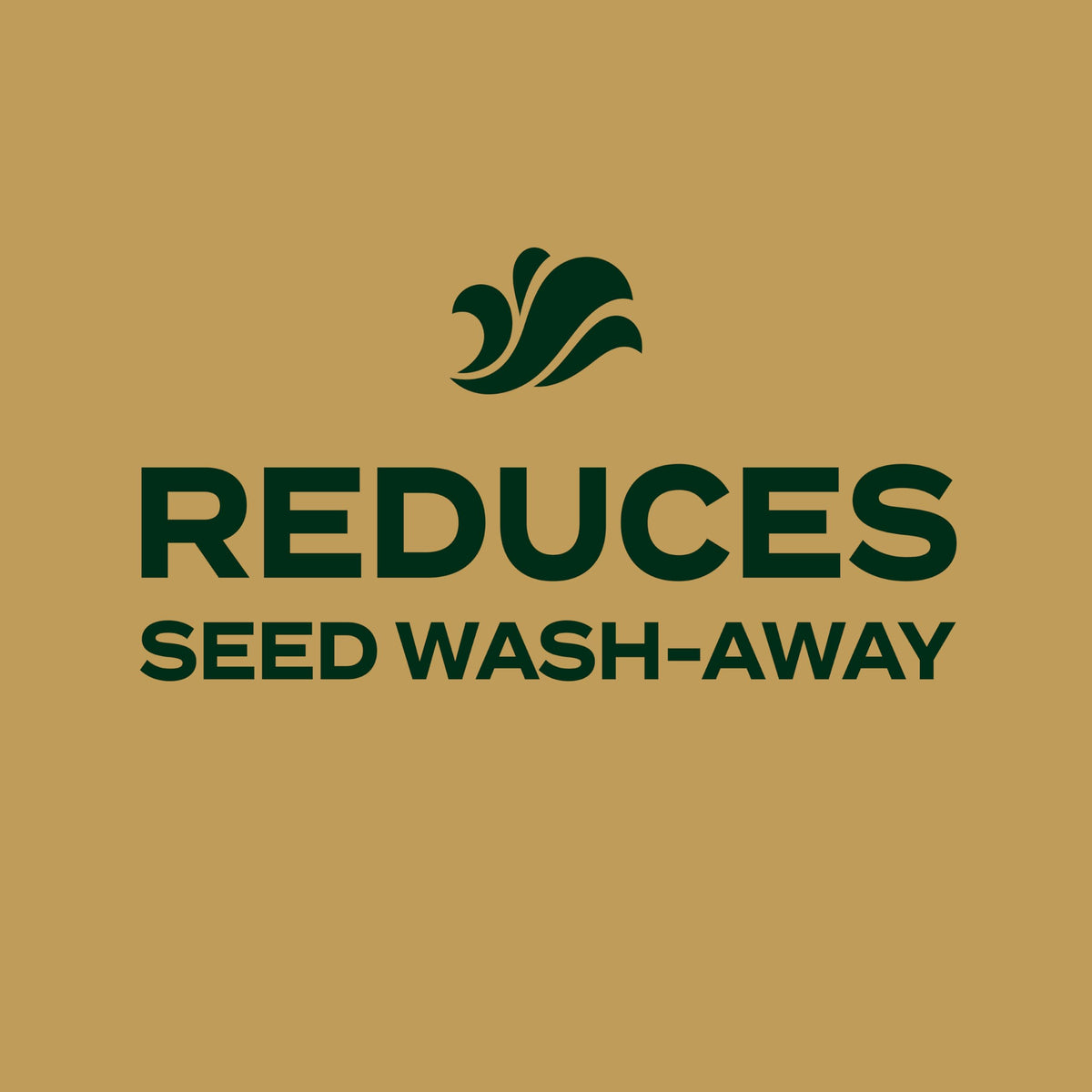 Scotts EZ Seed fertilizer beads visible within the mix for growth support.