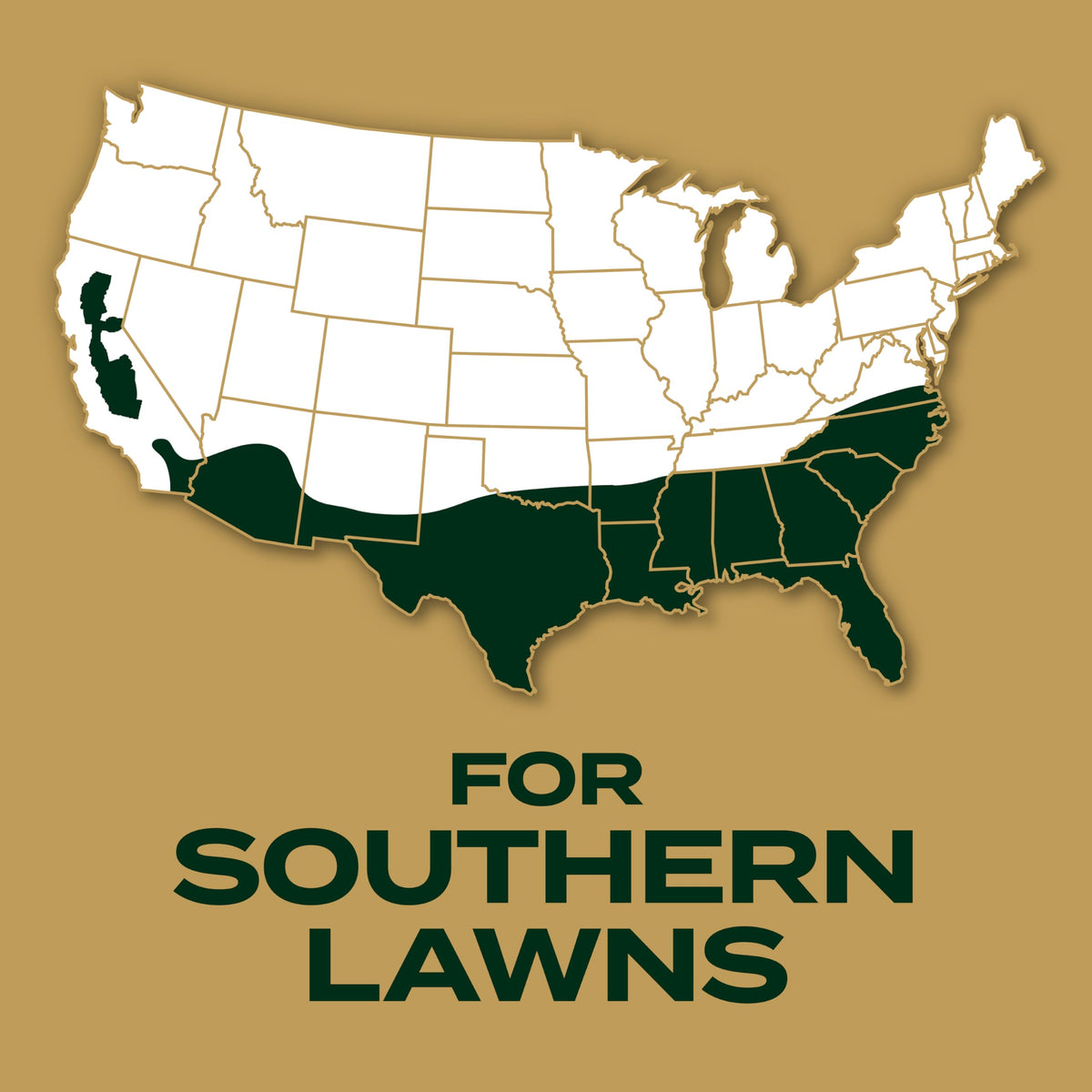 Scotts EZ Seed first green blades emerging in a repaired lawn.