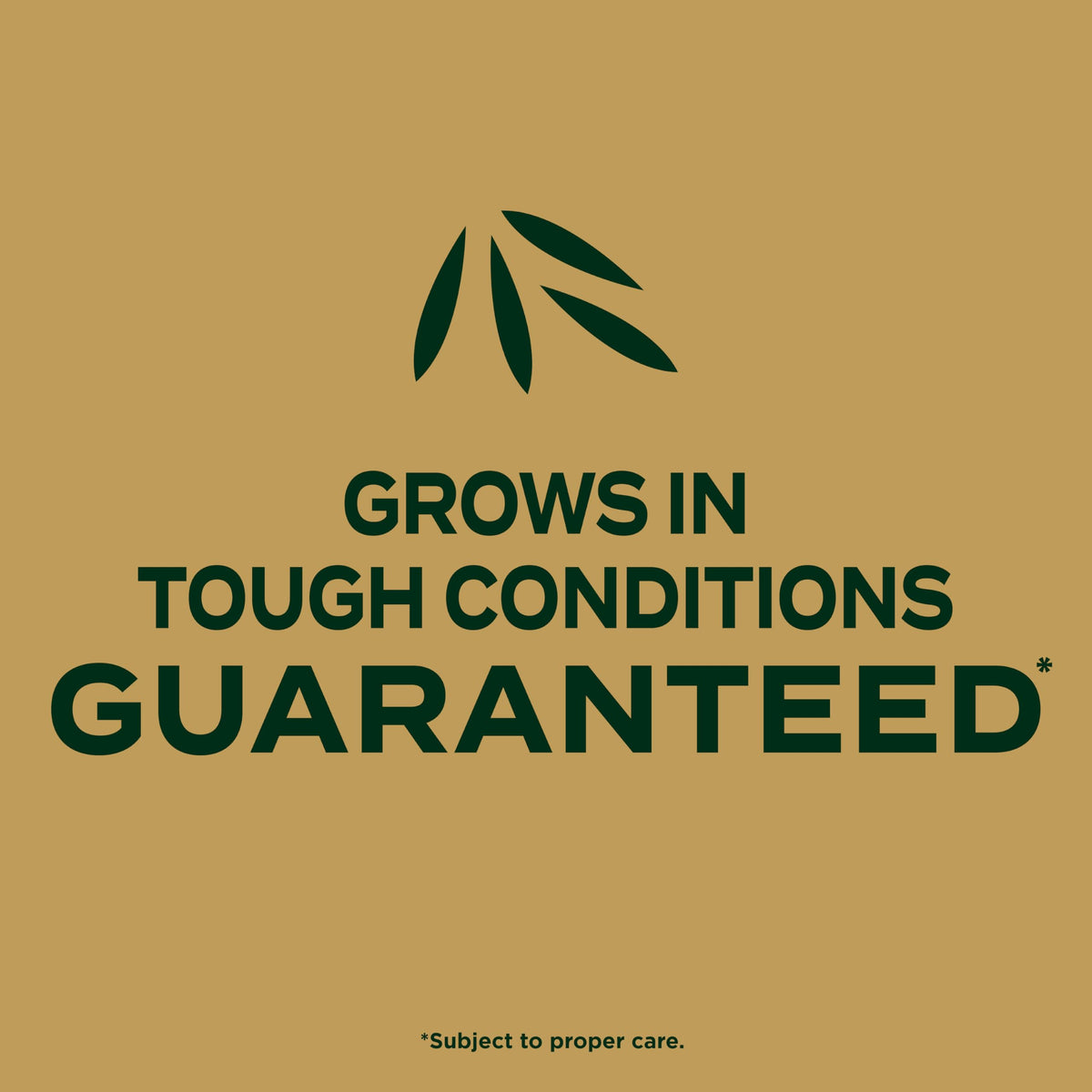 Scotts EZ Seed mulch around seeds aids germination and moisture retention.