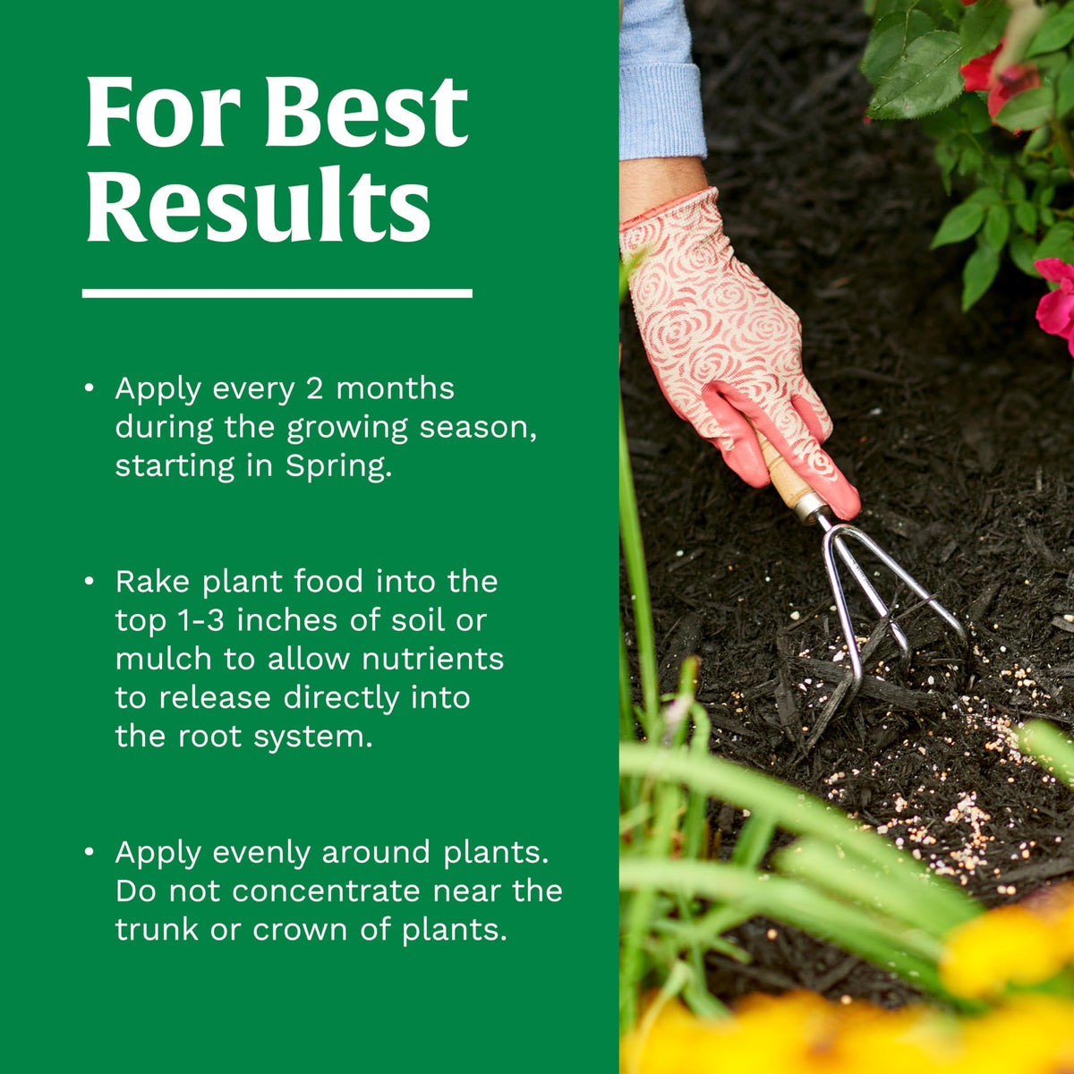 Garden bed showing expected healthy growth after applying Scotts fertilizer.
