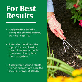 Garden bed showing expected healthy growth after applying Scotts fertilizer.