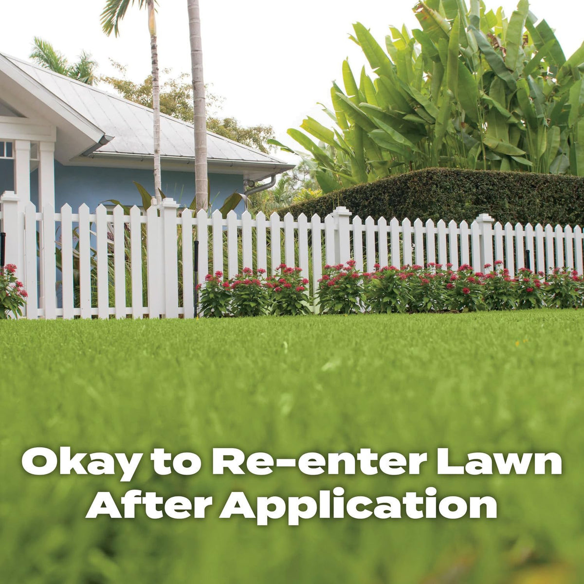 Grassy lawn showing growth progress after Scotts Turf Builder feeding