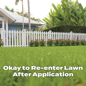 Grassy lawn showing growth progress after Scotts Turf Builder feeding