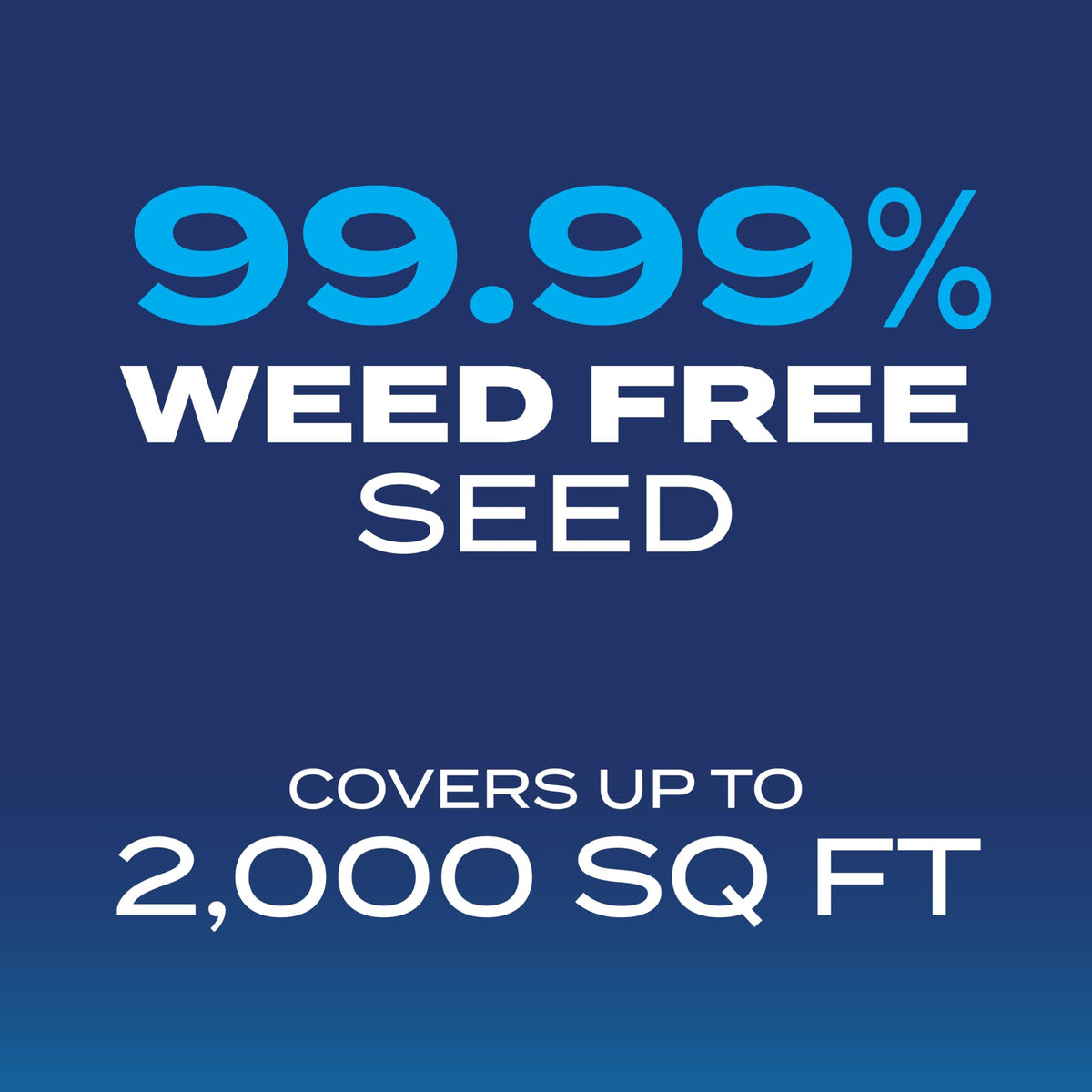 Overseeding existing lawn with Scotts drought-tolerant mix for fuller, quicker recovery.